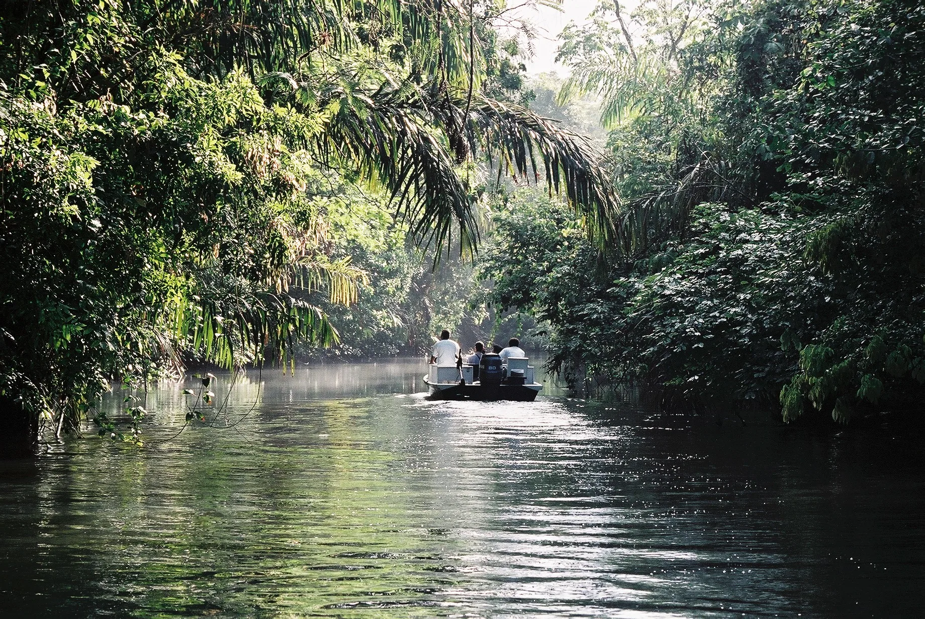 Jours 2-3 : Tortuguero, le Costa Rica amazonien