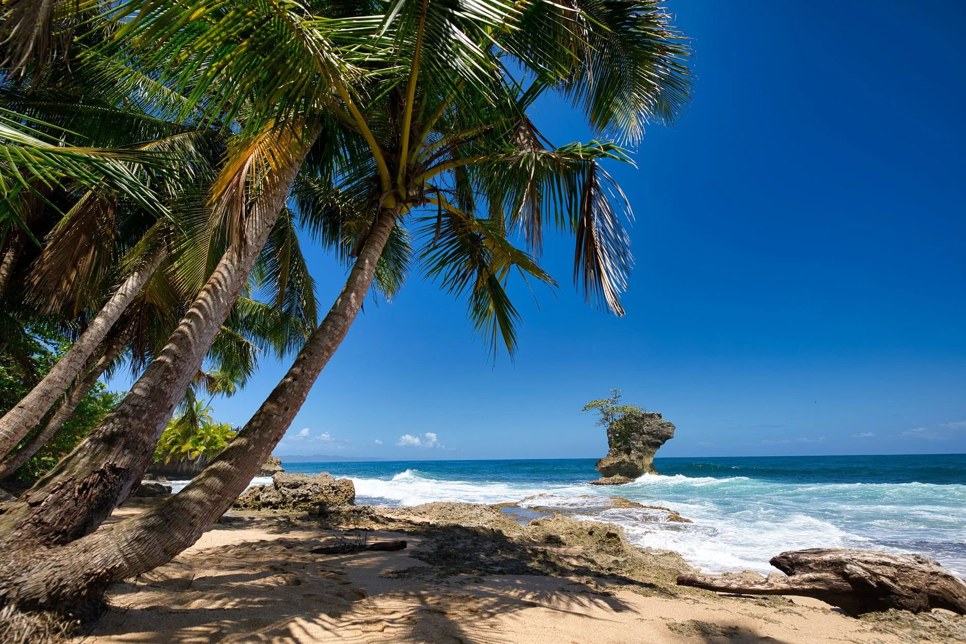 Jours 4-5 : Puerto Viejo de Talamanca, la côte caraïbe