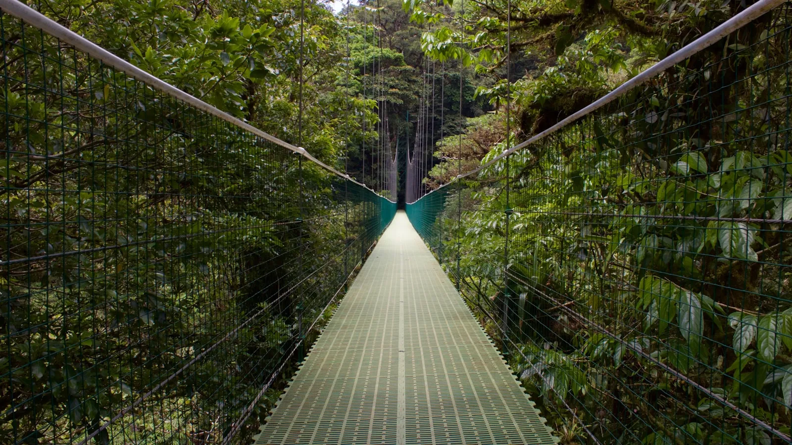 Jours 8-9 : Monteverde, la forêt nuageuse