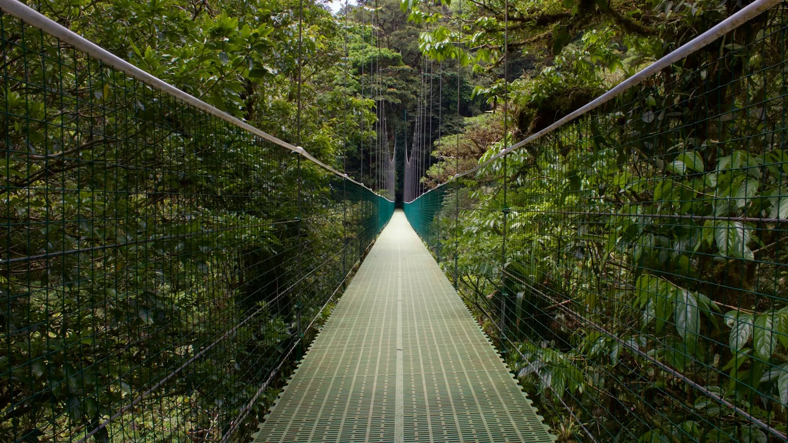 Jours 5 et 6 : Monteverde