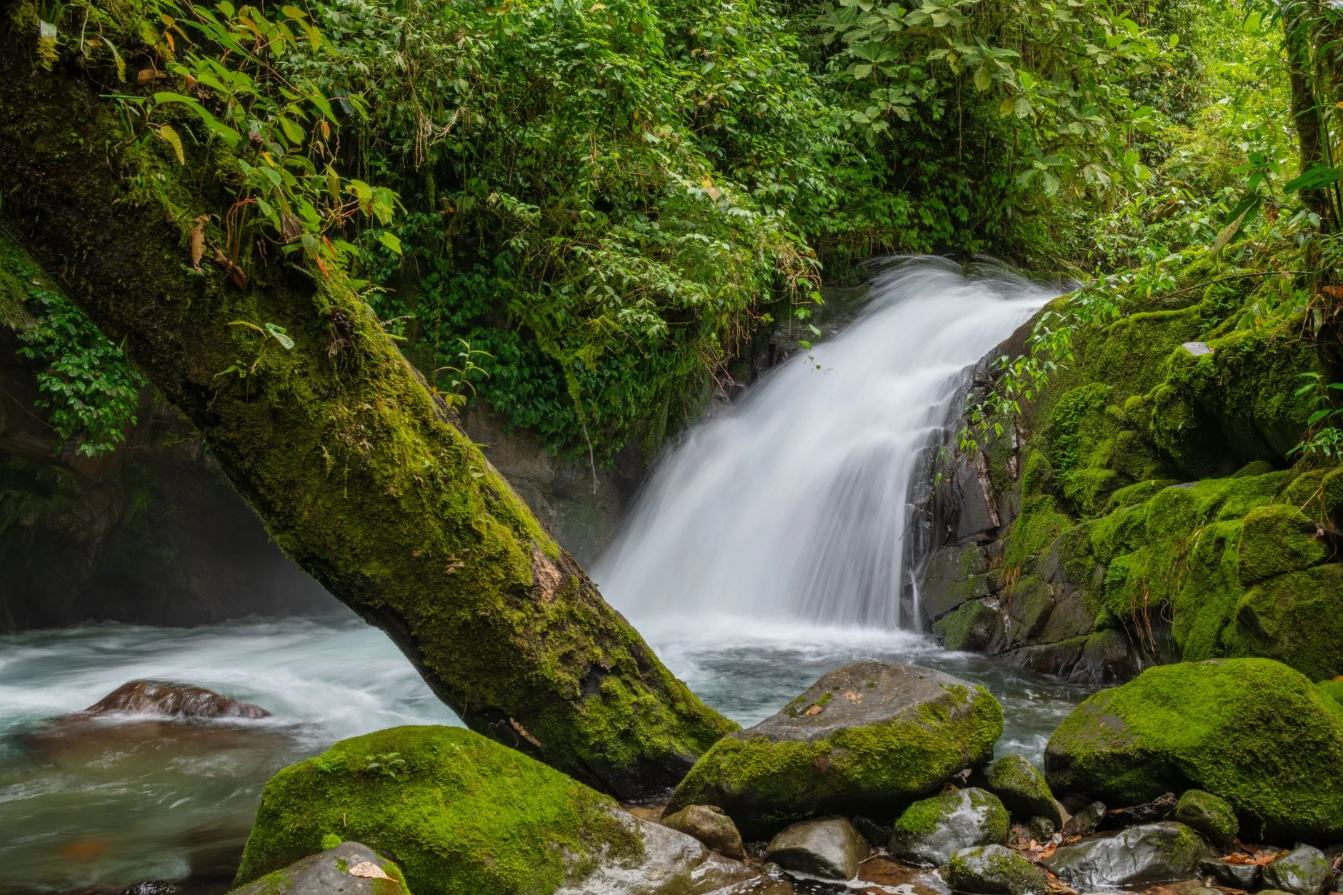 Navette touristique sur une route de montagne au Costa Rica avec le volcan Arenal en fond