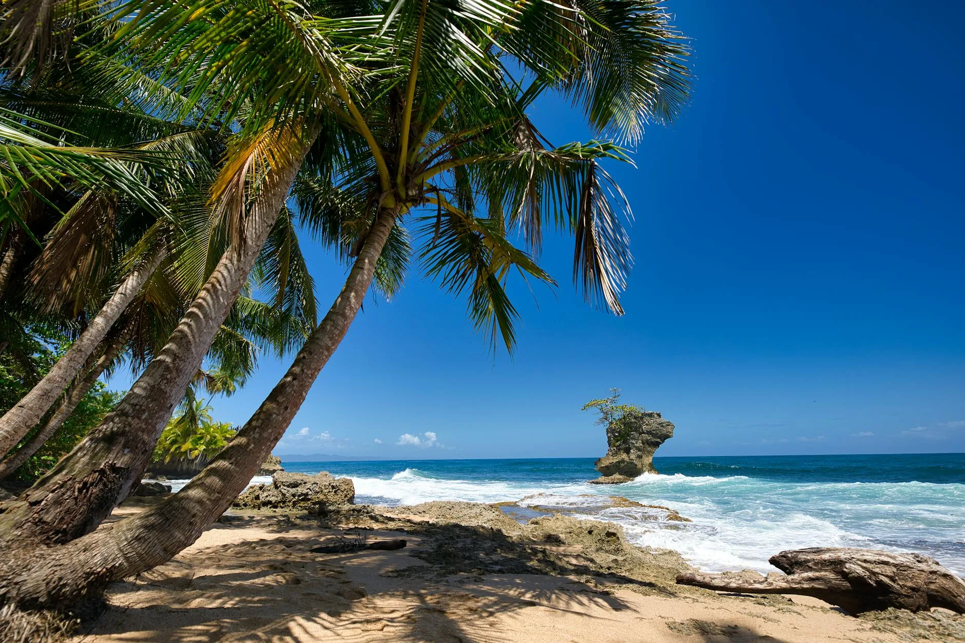 Pacifique sud : la nature sauvage