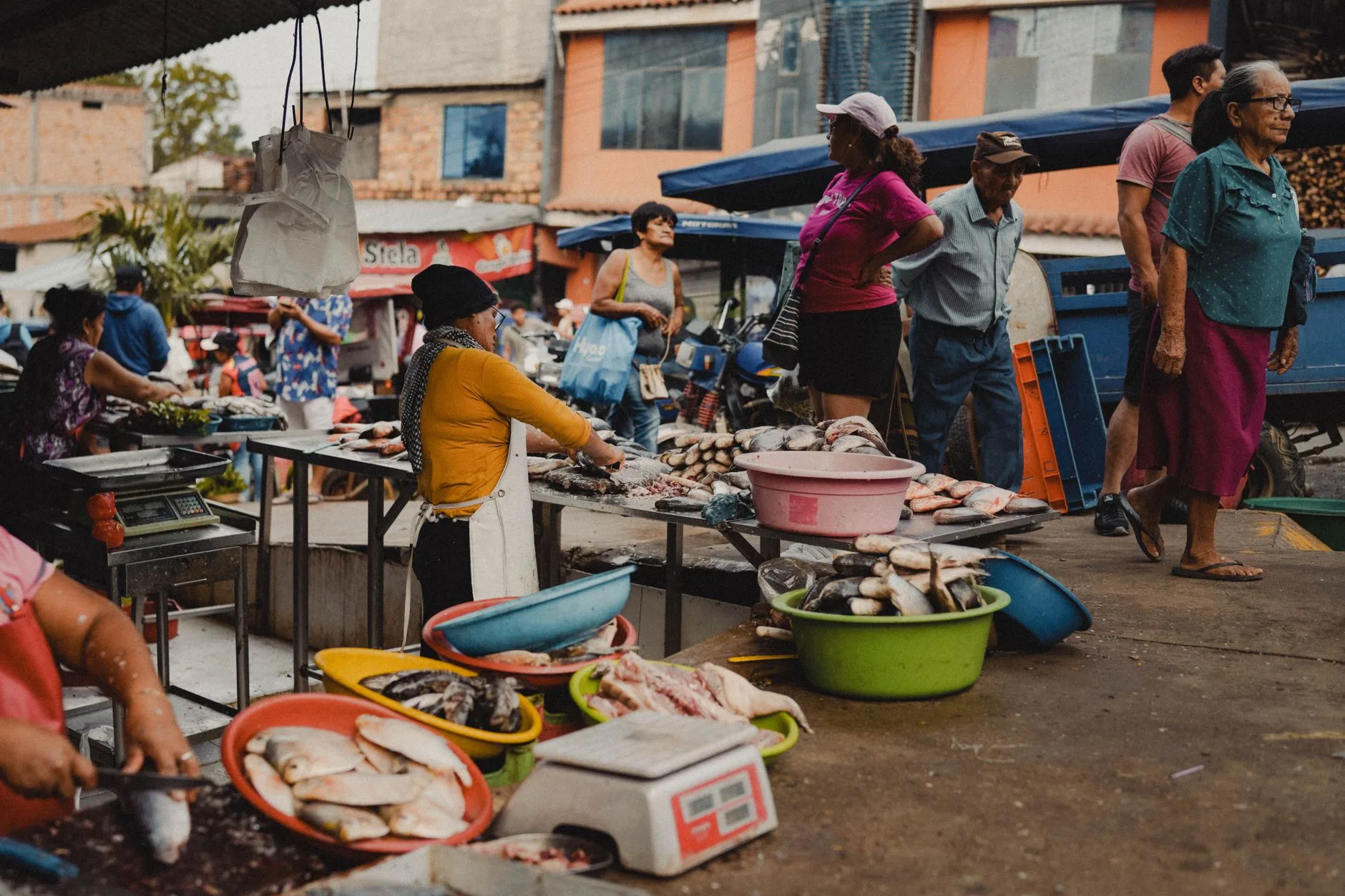 Où manger végétarien et végan, ville par ville