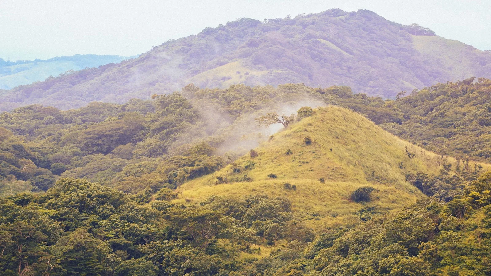 Paysage de forêt sèche tropicale au Guanacaste, Costa Rica