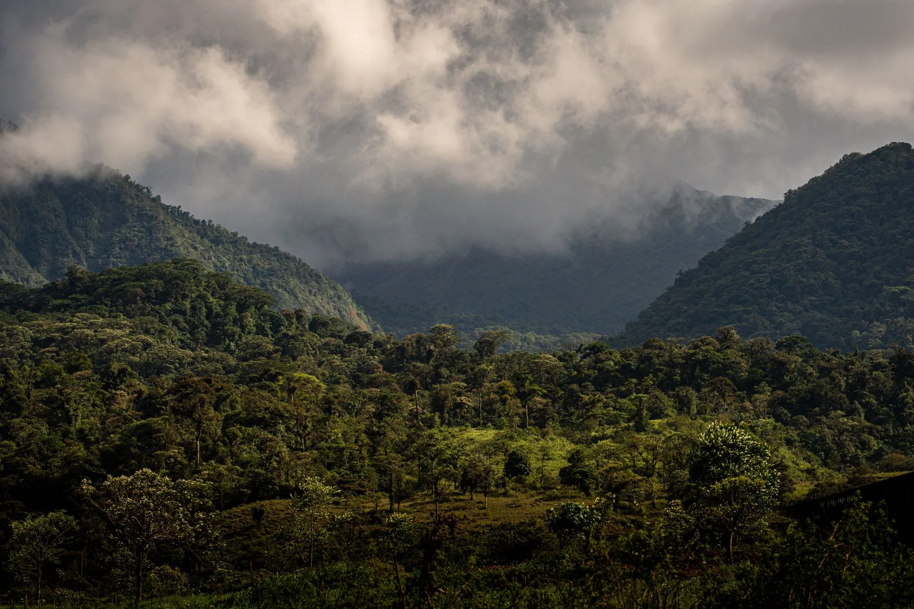 La Réserve de Santa Elena