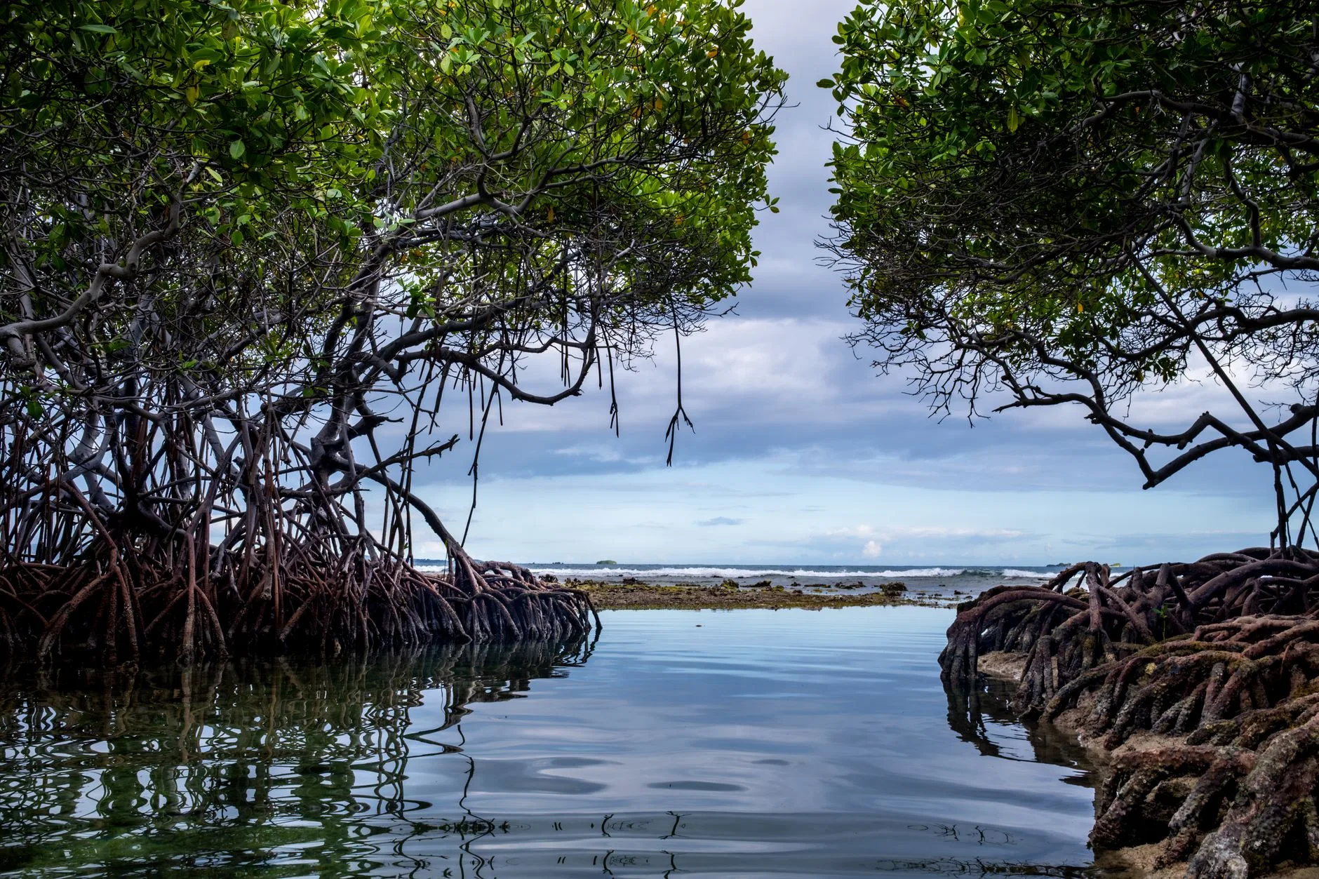 Nature et activités à Tamarindo