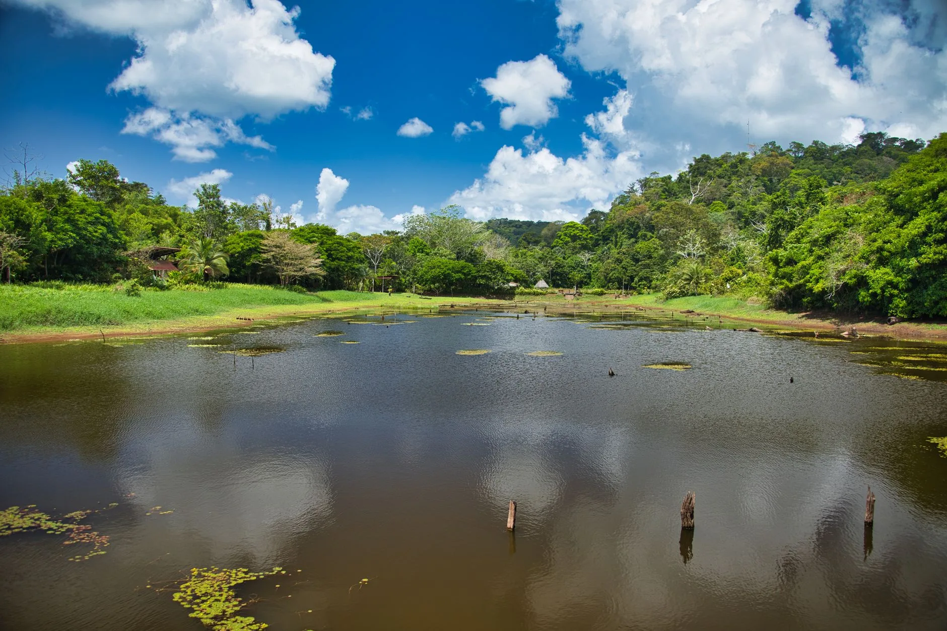 Le Parc National de Tortuguero